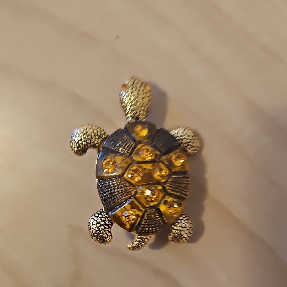Turtle Brooch